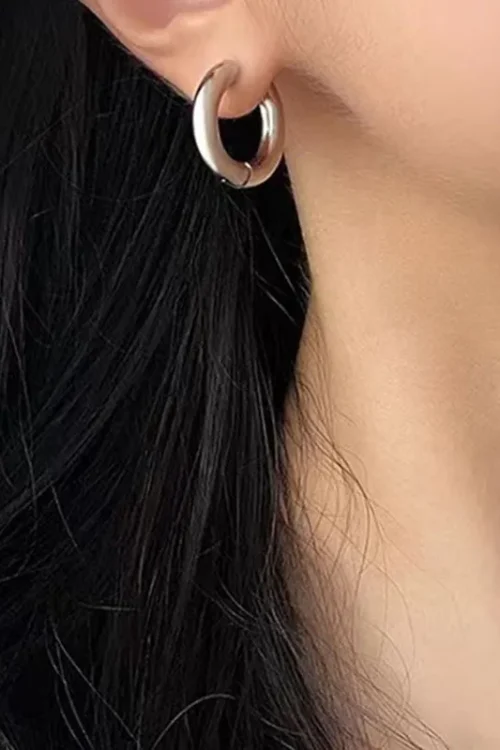 Stainless Steel Hoop Earrings Jewelry